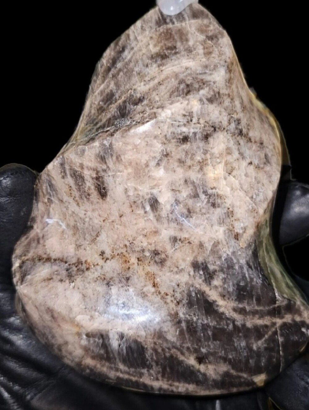 GIGANTIC 3lb Chocolate Black Moonstone Statement Freeform-High Quality-FLASHY!✨️